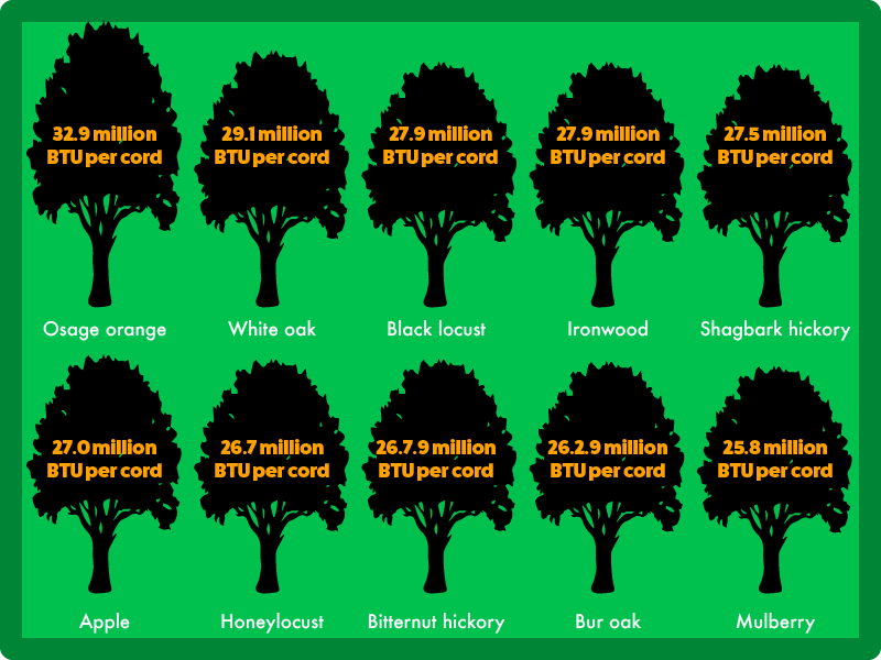 Top 10 Fuel Trees