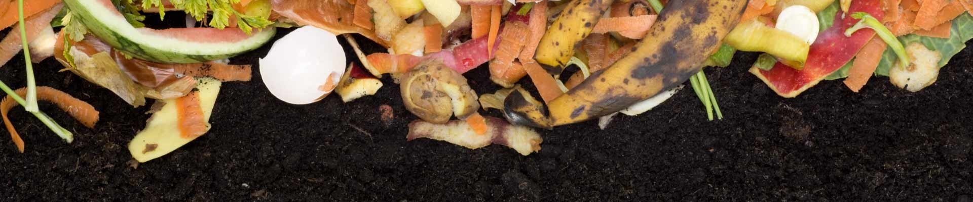 Image of compost