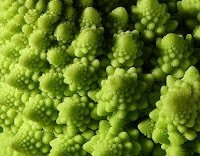 Fractal_Broccoli
