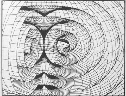 spiralling toroidal form