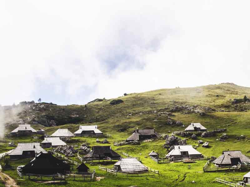 Sheltering roofs