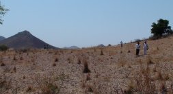 Site outside Talupula, AP