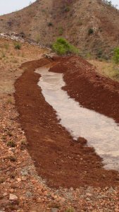 Water-harvesting swale