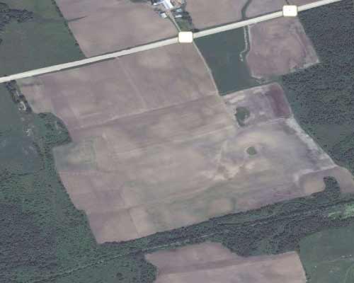 Farmland used to grow corn and soy for cattle.